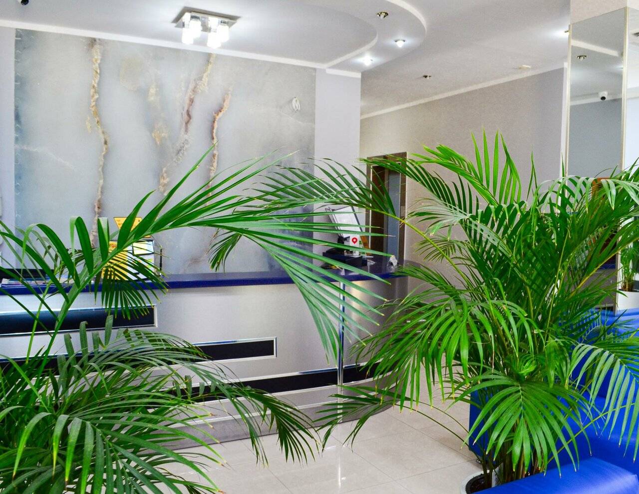 Фото Гостиницы Атлантида Анапа 48