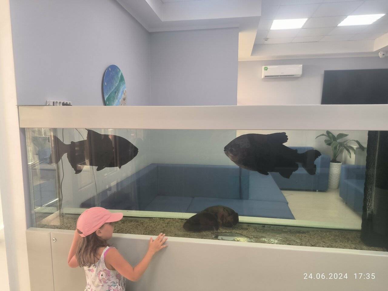 Фото Гостиницы Атлантида Анапа 142