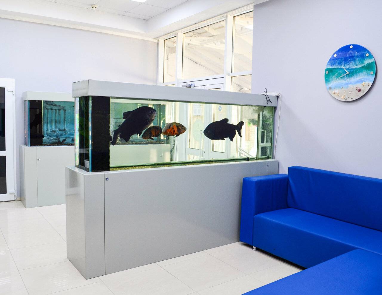 Фото Гостиницы Атлантида Анапа 19