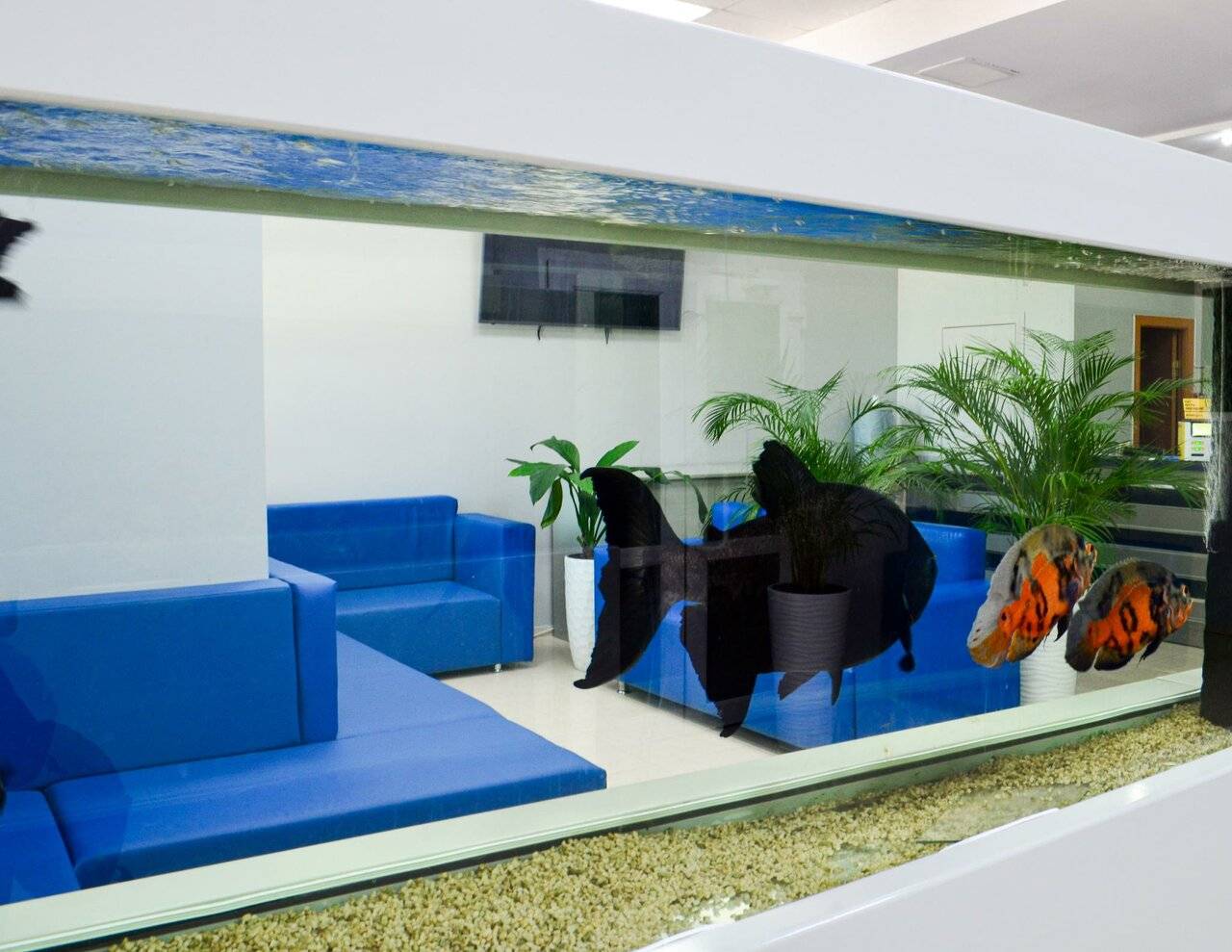 Фото Гостиницы Атлантида Анапа 124