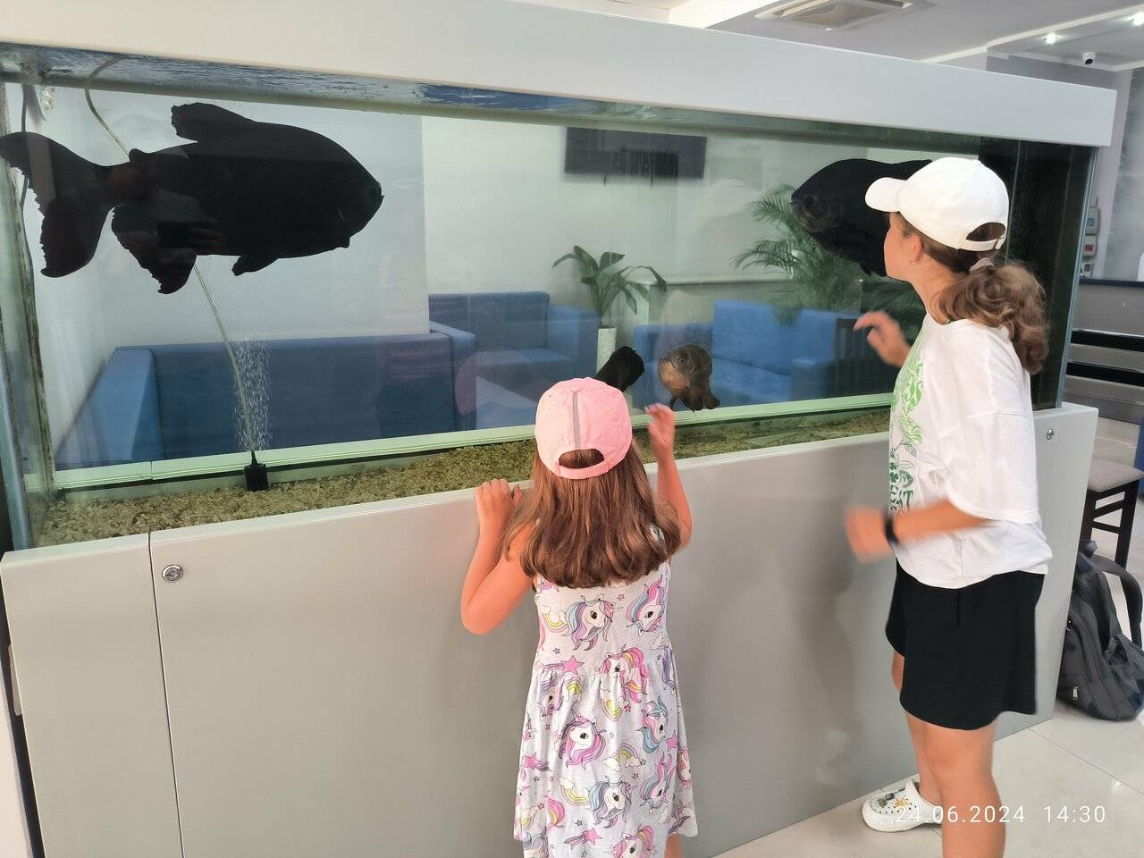 Фото Гостиницы Атлантида Анапа 63