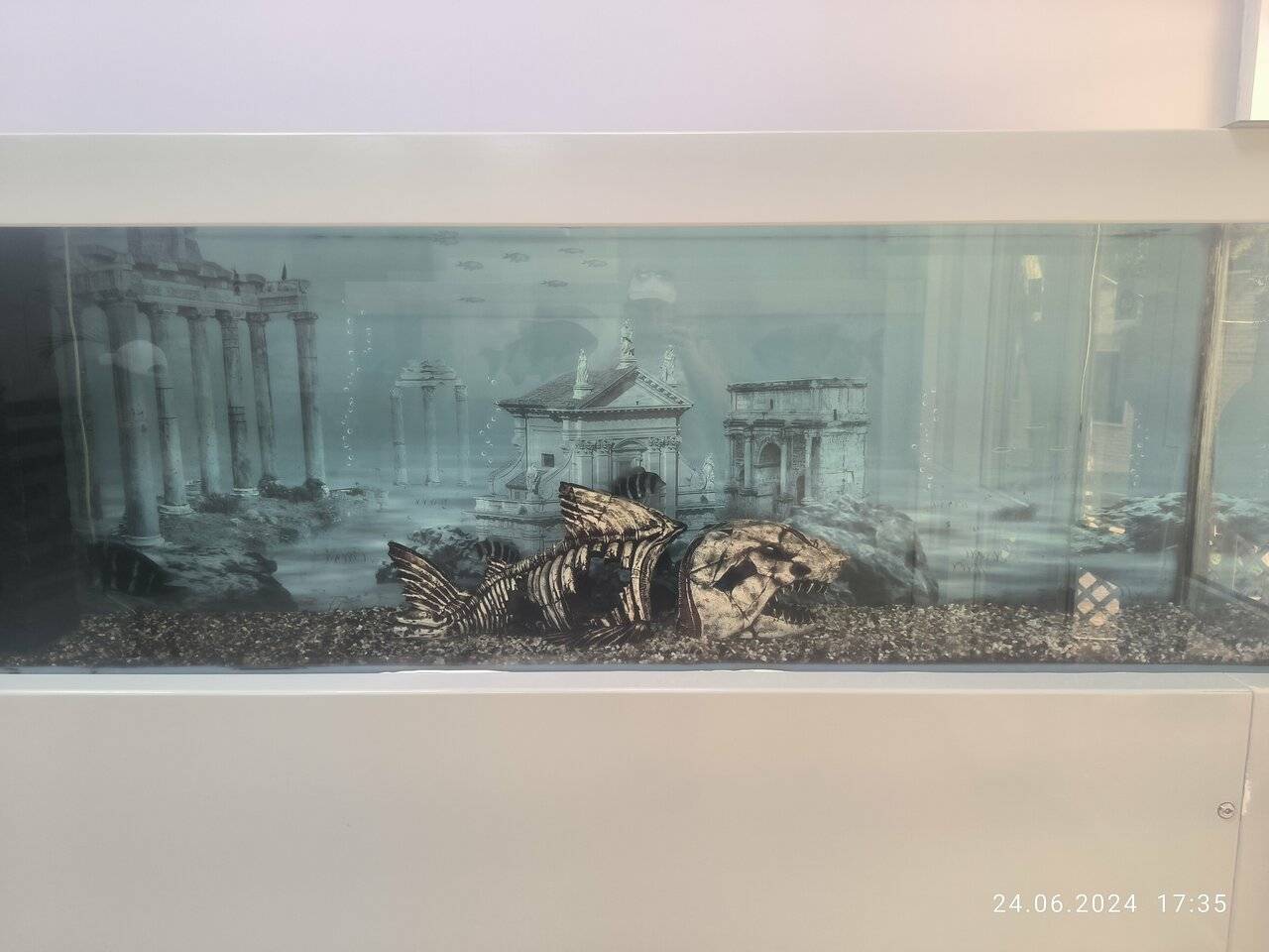 Фото Гостиницы Атлантида Анапа 31