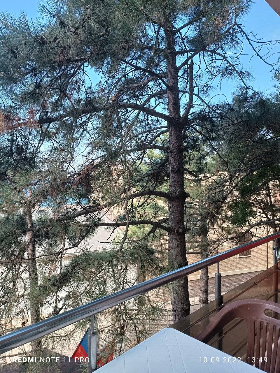 Фото Гостиницы Атлантида Анапа 54